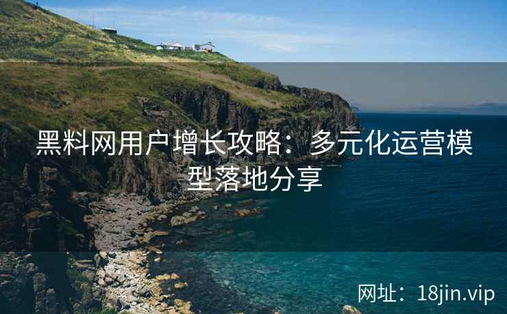黑料网用户增长攻略：多元化运营模型落地分享
