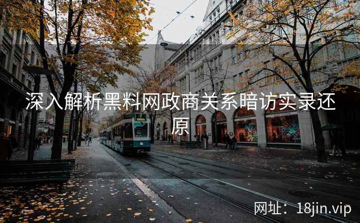 深入解析黑料网政商关系暗访实录还原