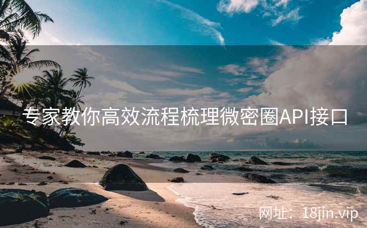 专家教你高效流程梳理微密圈API接口