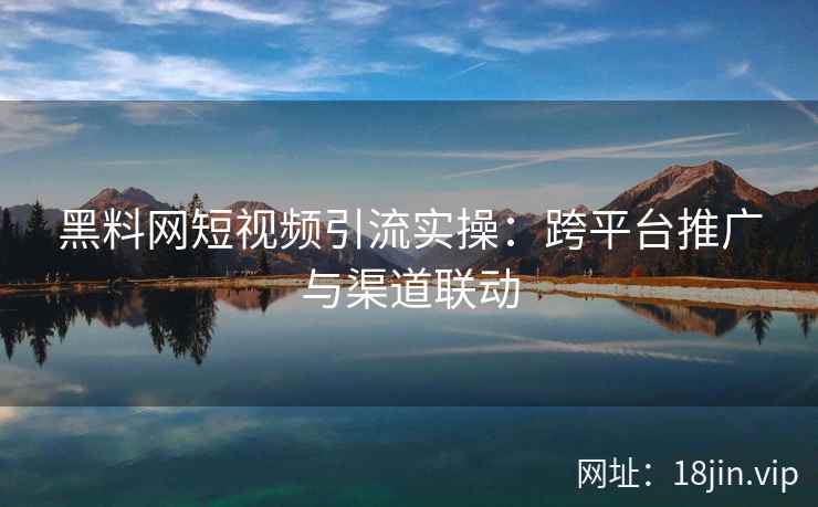 黑料网短视频引流实操：跨平台推广与渠道联动