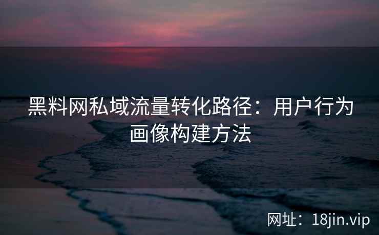 黑料网私域流量转化路径：用户行为画像构建方法