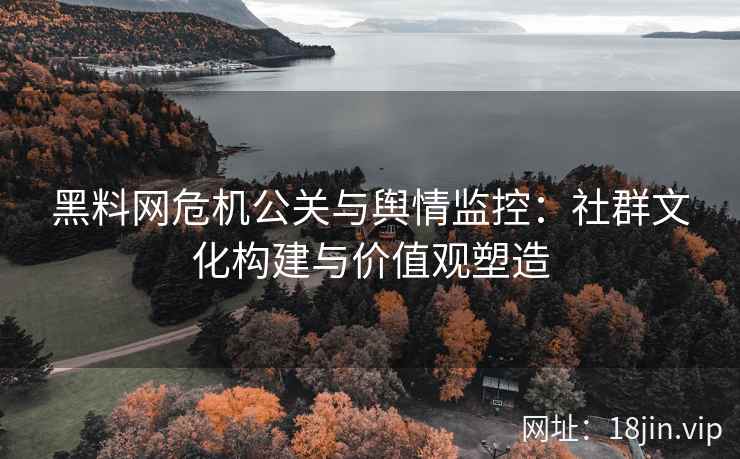黑料网危机公关与舆情监控：社群文化构建与价值观塑造