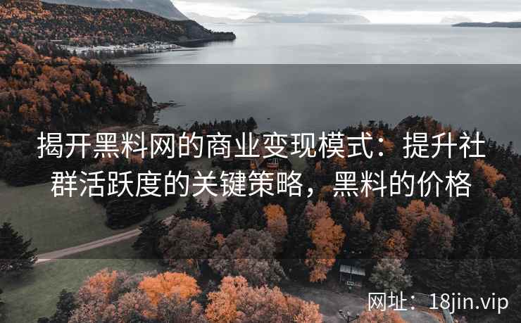 揭开黑料网的商业变现模式：提升社群活跃度的关键策略，黑料的价格