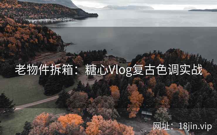 老物件拆箱：糖心Vlog复古色调实战