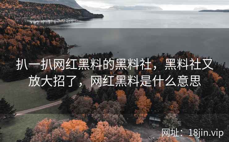扒一扒网红黑料的黑料社，黑料社又放大招了，网红黑料是什么意思