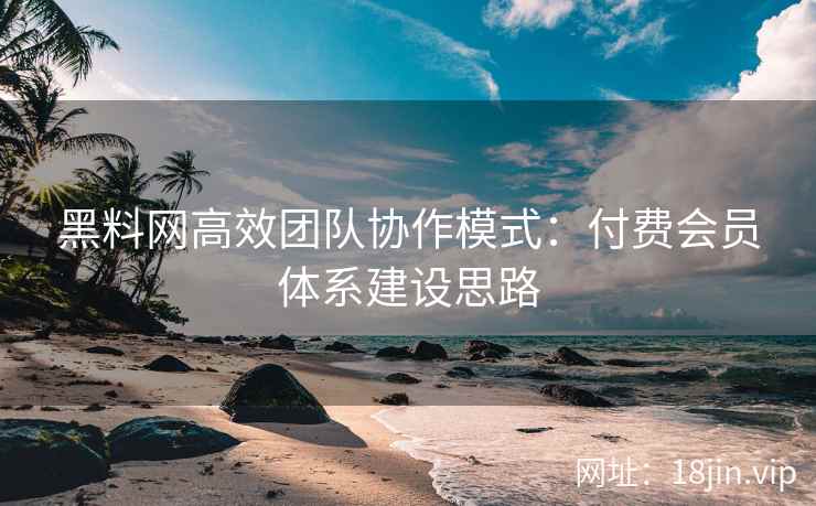 黑料网高效团队协作模式：付费会员体系建设思路